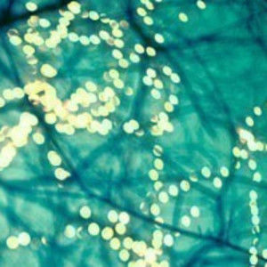 Meet your Posher, Danelle